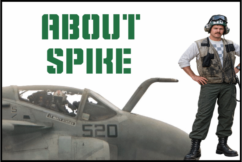 About AMS1 Spike Robbins