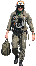 VA-95 Green Lizard Aviator