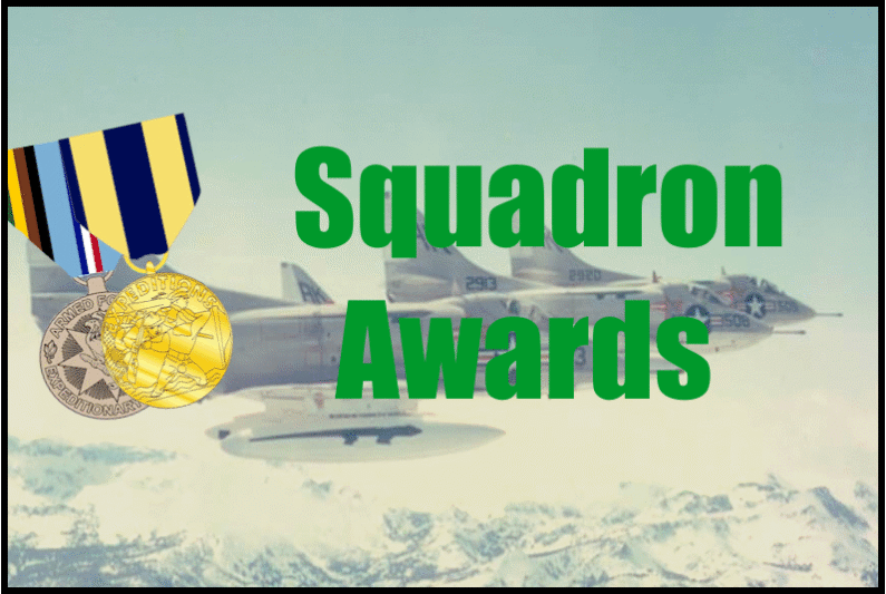 VA-95 Squadron Awards and Citations