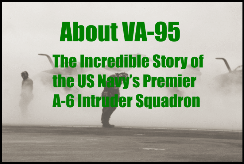 About VA-95 Page