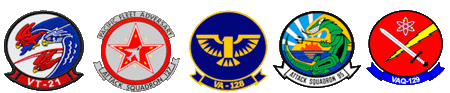 AMS1 Spike's Squadron History